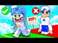 NO STOP OBBY The HARDEST Obby In Roblox