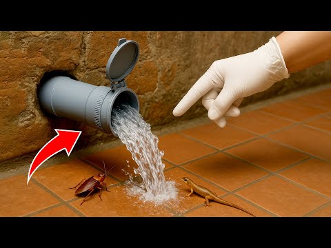 Why Didn't I Know This Sooner? A 60-Year-Old Plumber’s Genius DIY Tips to Save Big Money!