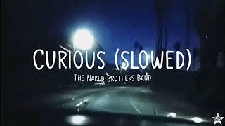 The Naked Brothers Band - Curious (slowed + reverb) w/ lyrics