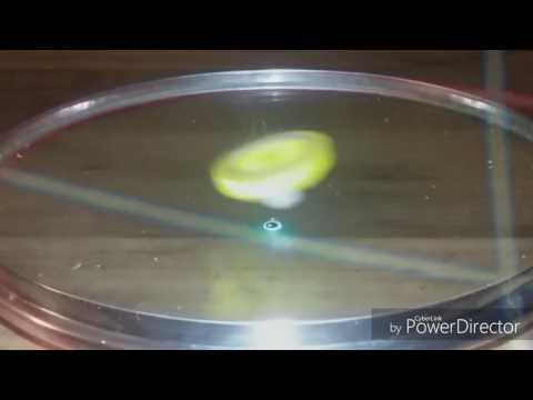 Lego AMVBB: unlock unicorn vs victory valkrie