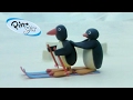 Pingu Pingu Skis