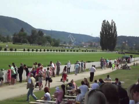 CENA TÜCHLER JEVIŠTNÍ & TEXTILNÍ TECHNIKA Rovina I.kat. - 1200 m, cena, 3letí a starší