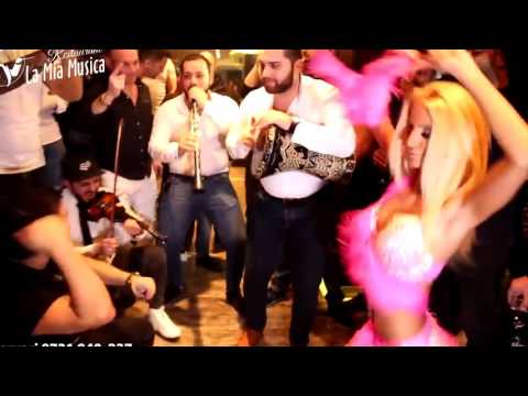 Costel Biju - Sistem Albania Pentru Ellysa (  Live La Mia Musica )