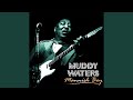 Look What You've Done - Muddy Waters - Topic Look What You've Done