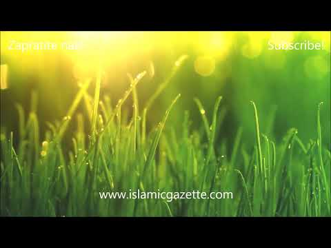 Hadisi Allahovog poslanika Muhameda alejhi selama.