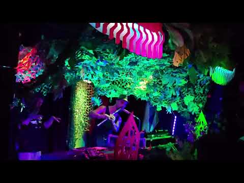 Footprint System - Indy Boca Dubplate (ft Guru Pope) (3/3) Live Alim Dub #1 Paris 20241011 001310 HD