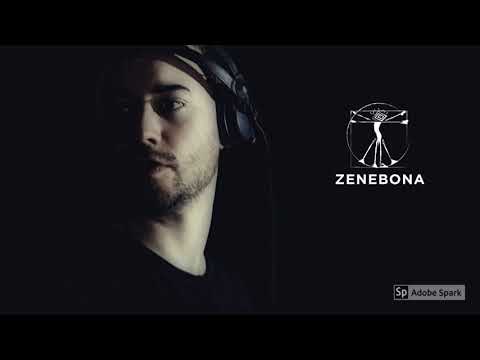 Daltonist - Never Sead (Original Mix) Zenebona Records