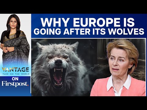 Why EU Chief Ursula Von Der Leyen is Waging a War on Wolves | Vantage with Palki Sharma