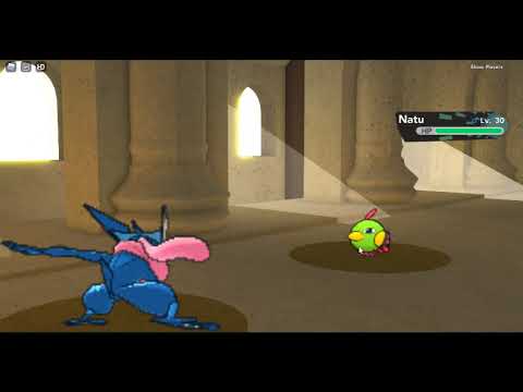 how to solve the puzzle in pokemon brick bronze