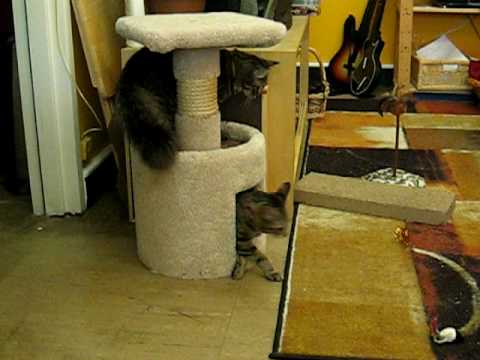 Gavin and Teagan love their new toys