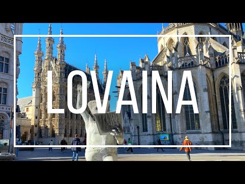Video von Leuven (historisches Zentrum)
