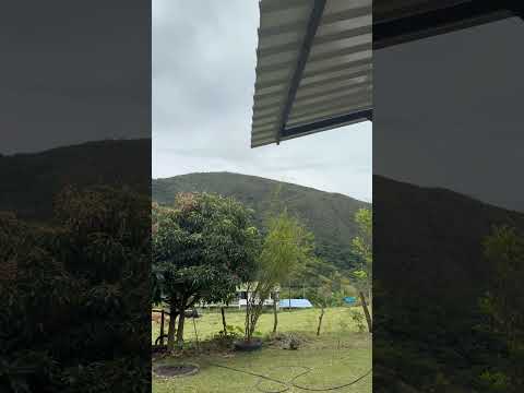 Norte de Santander - Bochalema #campo #verde