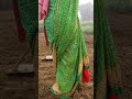 Pintu