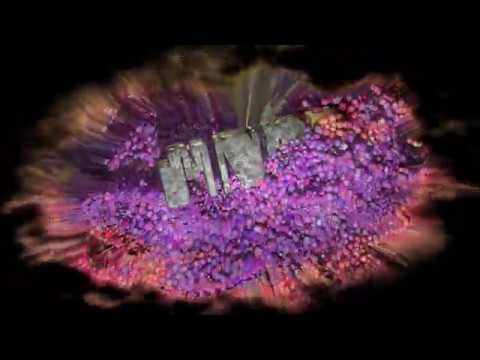 MNDR "Fragile" [Official Visualizer]