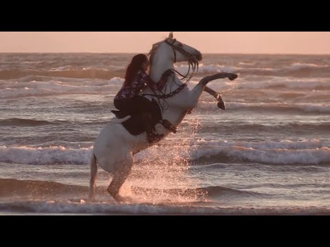 الموسيقى الروسية الشهيرة والعالمية والتي غنتها فيروز - كانو ياحبيبي - POLYUSHKA POLYE