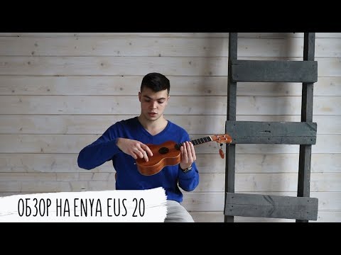 Обзор Enya EUS-20