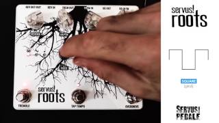 Servus!Pedale Roots (Overdrive, Tremolo & Reverb) - Demo