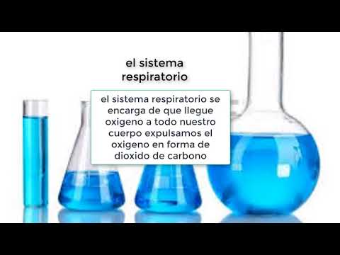 taller de biologia 4 periodo