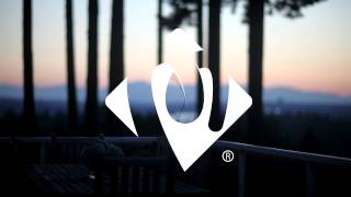 Azad Right - ''You Are Appreciated'' (Prod. by Professor O)