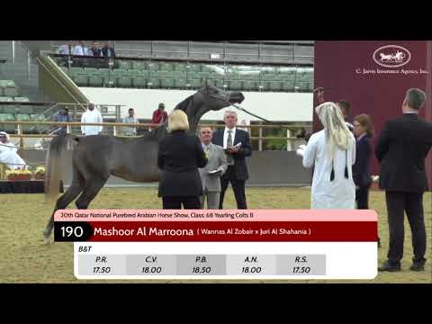 Ghazi AL Nasser غازي الناصر