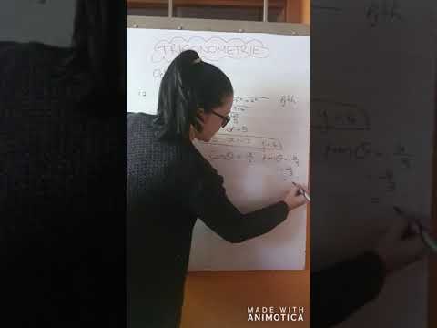 WISKUNDE GRAAD 11: 7 Mei 2020 - periode 3 (07113)