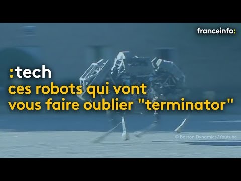 Ces robots terrifiants qui vont vous faire oublier "Terminator" - franceinfo