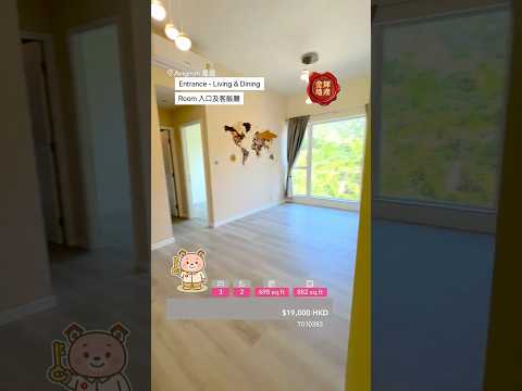 星堤 Youtube Video