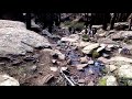 We Got Lost In The Mountains ️