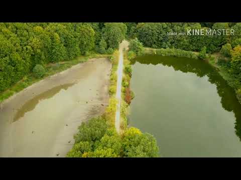 Kocmań — Wideo