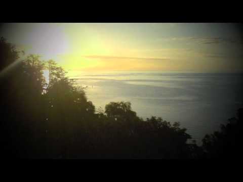 Tom Palash - U don't know