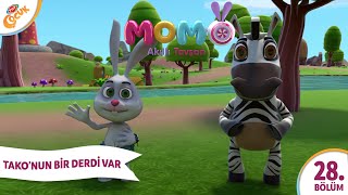 3. Bölüm - TAKA'NUN BİR DERDİ VAR