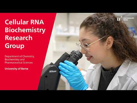 Leidel Group research video