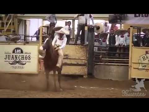 Campeonato millonario - Jineteo de yegua