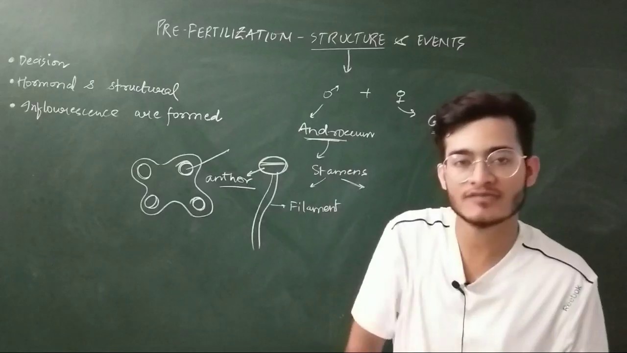 L2: Pre-fertilisation Structure & Events/ Sexual Reproduction of Flowering plants