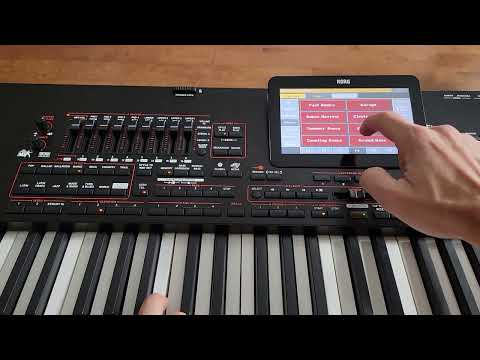 KORG PA4X DANCE STYLES DEMO