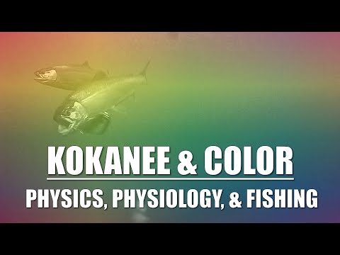 Kokanee and Color: When Physics, Physiology, and Fishing Meet
