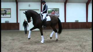 Video di Akeem Foldager