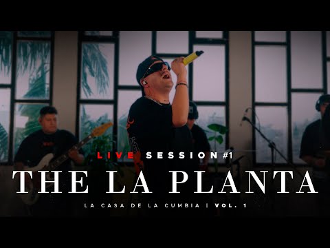 The La Planta - No Me Enseñaste / Sin Testigos / Por El Contrario/ Herederos / Hoy - LIVE SESSION #1