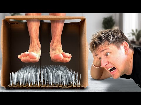 Don't Land in the WRONG Box!