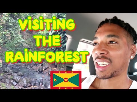 Visiting Annandale falls  (Grenada Vlog) | *Caribbean rainforest*
