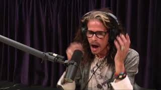 Joe Rogan - Steven Tyler on Finding Aerosmith&#39;s Sound