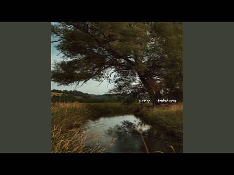 Video thumbnail for Rose Petals