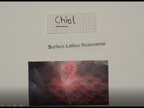 Research from the Vogel lab:  Flash Poster Presentation London Plasmonics 2020 - Eric Goerlitzer