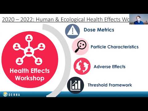 Coffee & Microplastics Ep 3.1: Dr. Scott Coffin — Towards Understanding Exposure, Hazard, and Risks of Microplastics