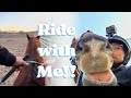 FIRST RIDE OUTSIDE ON ROLO | Horse Lesson Vlog