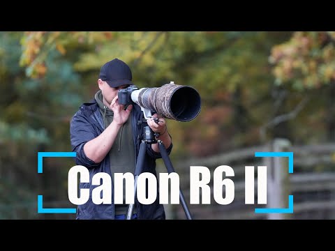 Canon EOS R6 II Kamera erster Eindruck