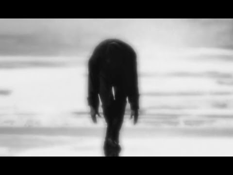 Moon, Blood and Flight