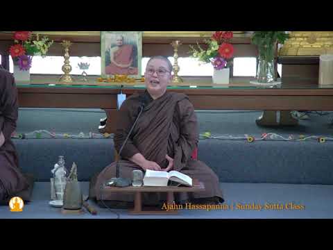 MN7: The Simile of the Cloth – Vatthupama Sutta | Ajahn Hasapanna | 27 December 2020