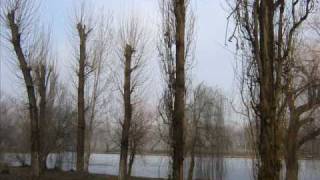 Celestial Season - Soft embalmer of the still midnight