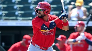 Leonardo Bernal 2025 Minor League Highlights!